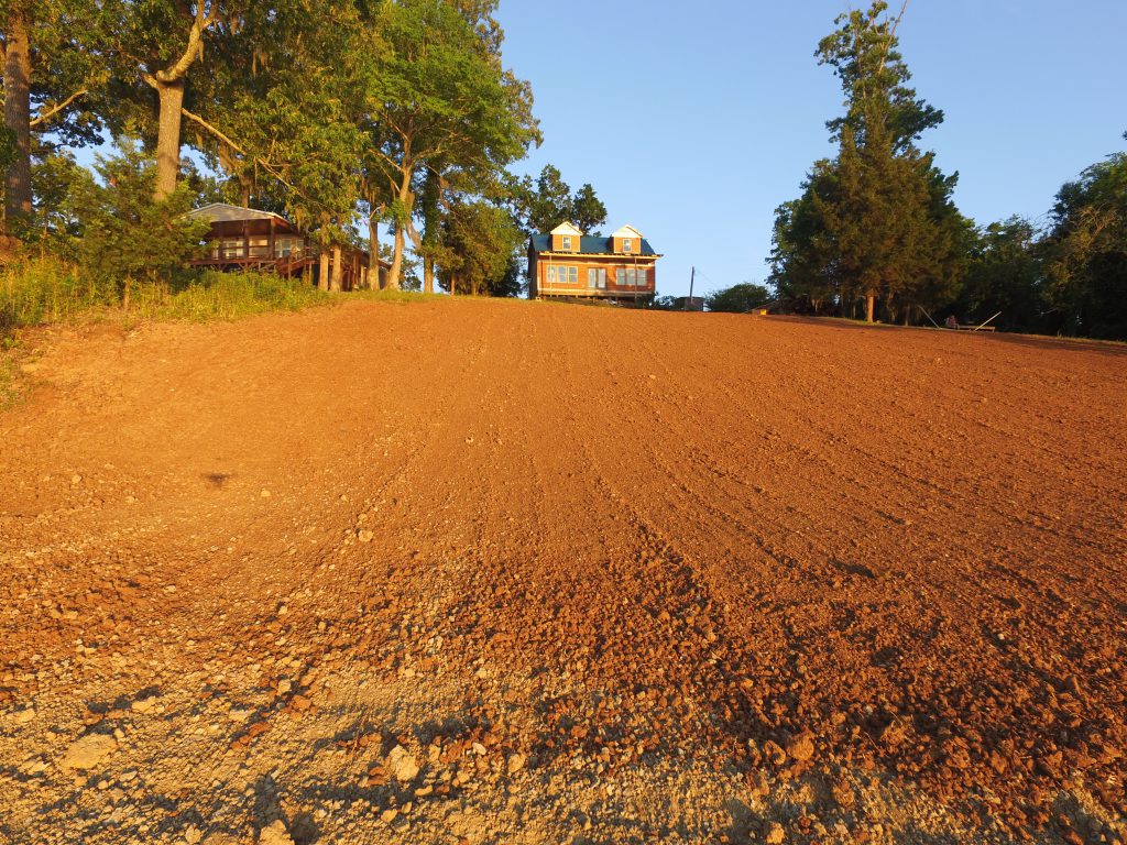 The soil uphill of the seawall is dressed and ready for grass.