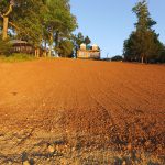 The soil uphill of the seawall is dressed and ready for grass.