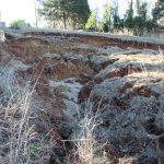 A view of the failure interface. Look at how the red clay slipped on the fatty grey clay at the interface - March 7, 2018