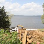 Rebuiding the seawall and landscape. Fig tree still standing.