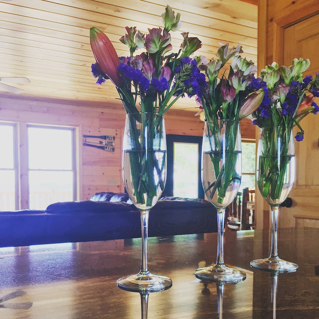 Our most recent guest picked flowers around the cabin and made her own arrangements.  When you put all of it together like this is really shows off the floral diversity at Toledo Bend Lake!

#flowers #louisiana #toledobendcabin #toledobendlake #toledobend