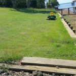The Jamur Zoysia grass is taking well on the seawall.