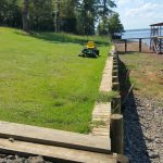 The Jamur Zoysia grass is taking well on the seawall.