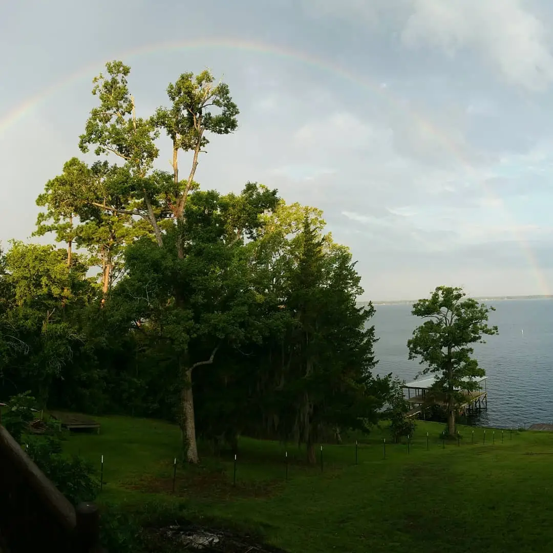 Incredible rainbow on the lake this morning at Toledo Bend.

#rainbow #toledobend #toledobendcabin