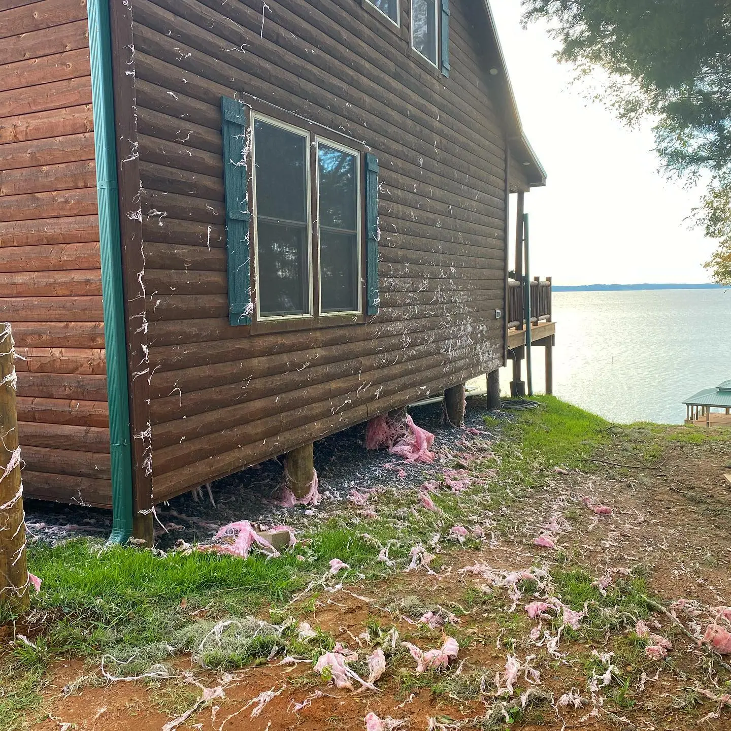 Hurricane Laura ripped the pink insulation from under the cabin out- plans to get it redone but now another storm is eminent.  Will wait to see what this storm brings!
#stormdamage #insulationdamage