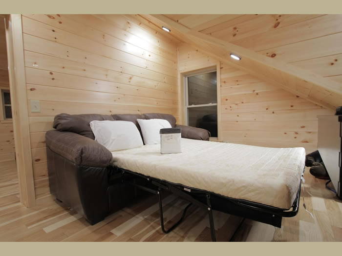 Sleeper sofa folds out into a queen size bed.